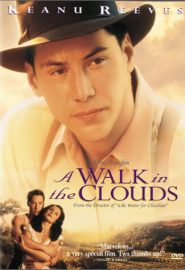دانلود فیلم A Walk in the Clouds 1995