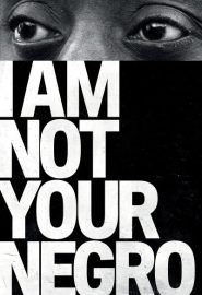 دانلود فیلم I Am Not Your Negro 2016